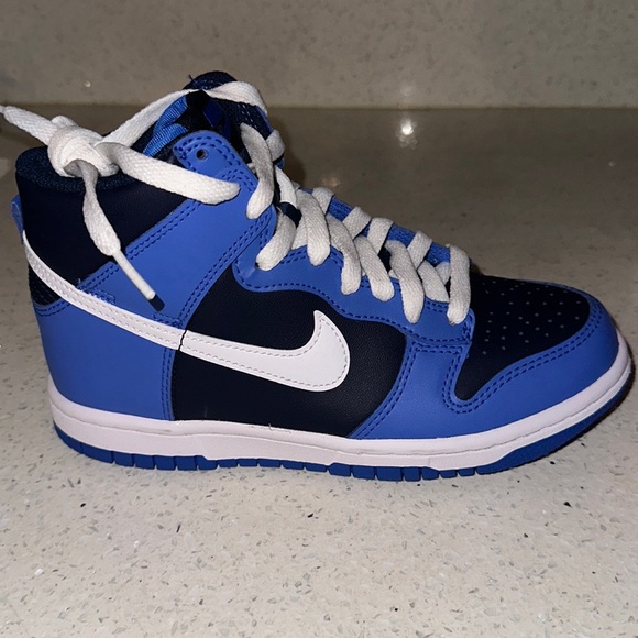 Nike Shoes - NIKE HIGHTOP DUNKS